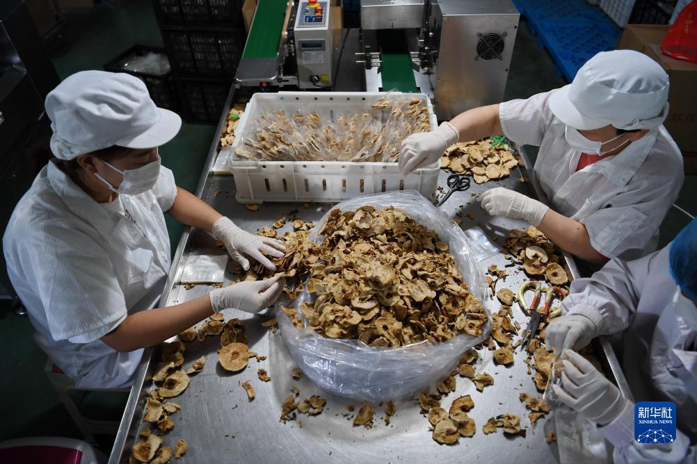 辉煌新网址